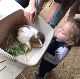 חוות בר מושב יגל פינת ליטוף